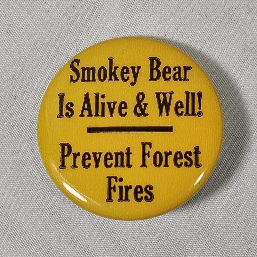Vintage National Park Service Smokey Bear Button Smokey Bear Prevent Forest Fire